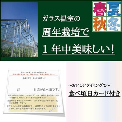 【毎月定期便】【訳あり】クラウンメロン 1玉 全12回【配送不可地域：離島・北海道・沖縄県】
