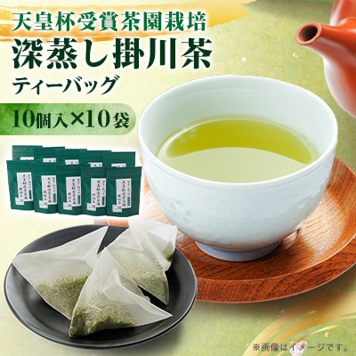 【深蒸し掛川茶】天皇杯受賞茶園栽培茶ティーバッグ(5gX10個入)10袋【配送不可地域：離島・沖縄県】