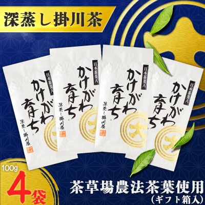 深蒸し掛川茶「かけがわ育ちW」100g×4袋セット【配送不可地域：離島・沖縄県】