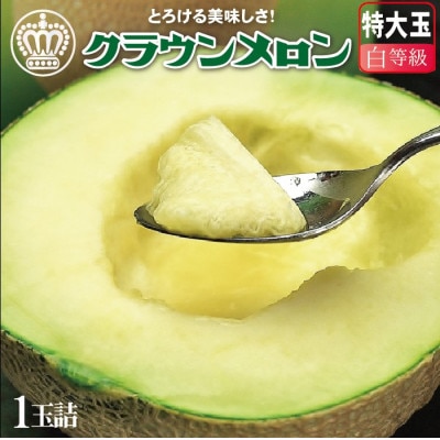 【大玉サイズ!】クラウンメロン(白等級)特大玉　1玉 【通年出荷】【配送不可地域：離島・北海道・沖縄県】