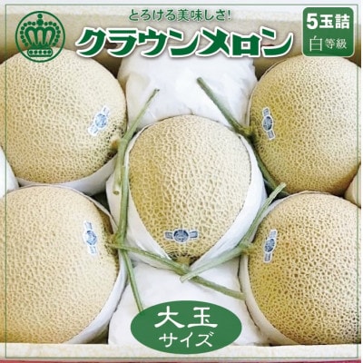 【通年出荷】クラウンメロン(白等級)大玉　5玉詰【配送不可地域：離島・北海道・沖縄県】