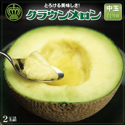 【通年出荷】クラウンメロン(白等級)中玉　2玉詰【配送不可地域：離島・北海道・沖縄県】
