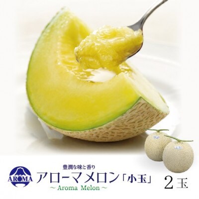【通年出荷】アローマメロン(小玉) 2玉入【配送不可地域：離島・北海道・沖縄県】