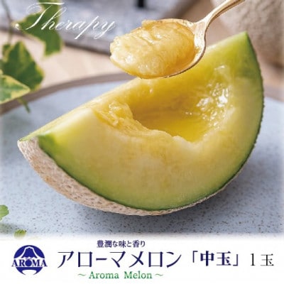 【通年出荷】アローマメロン 白等級(中玉) 1玉入【配送不可地域：離島・北海道・沖縄県】