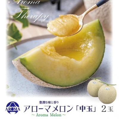 【通年出荷】アローマメロン 白等級(中玉) 2玉入【配送不可地域：離島・北海道・沖縄県】