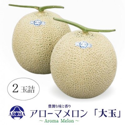 【通年出荷】アローマメロン 白等級(大玉) 2玉入【配送不可地域：離島・北海道・沖縄県】