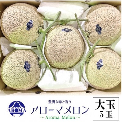 【通年出荷】アローマメロン 白等級(大玉) 5玉入【配送不可地域：離島・北海道・沖縄県】
