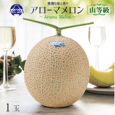 【通年出荷】アローマメロン(山等級) 1玉入【品格溢れる高級品】【配送不可地域：離島・北海道・沖縄県】