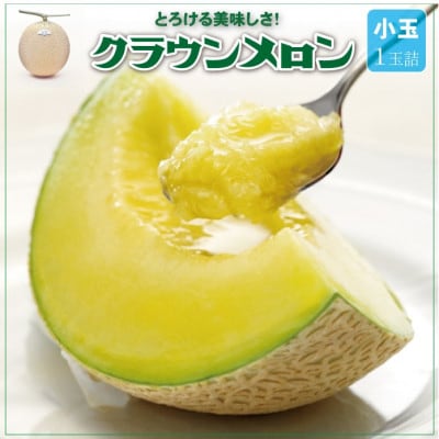【通年出荷】クラウンメロン(小玉) 1玉【配送不可地域：離島・北海道・沖縄県】
