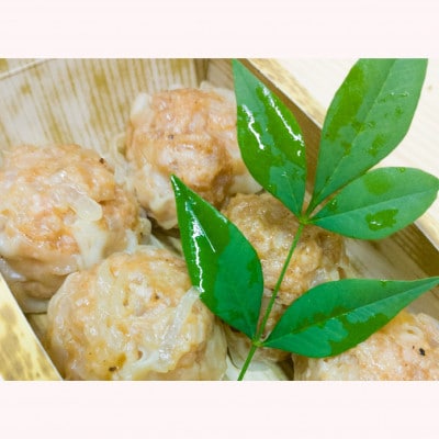 ふっくらジューシー♪ジャンボシュウマイ　12個(6個入×2パック)【配送不可地域：離島・北海道・沖縄県・東北・中国・四国・九州】