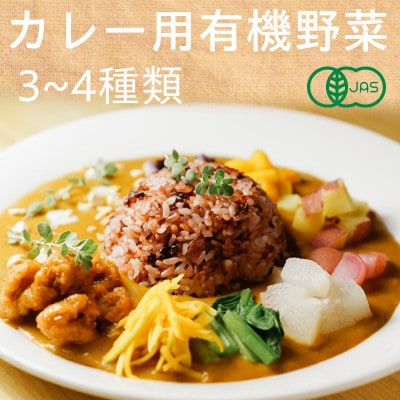有機野菜でカレーを作ろう　カレーに使える有機野菜を3～4種類　定番野菜だからなんにでも使えます。【配送不可地域：離島・北海道・沖縄県・四国・九州】