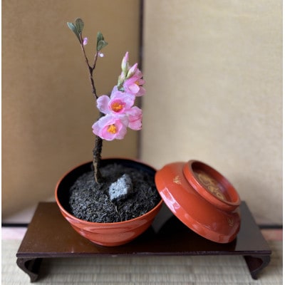 【春 桜】四季を彩る創作草もの盆栽(工芸品)～工房 椿【配送不可地域：離島・北海道・沖縄県】