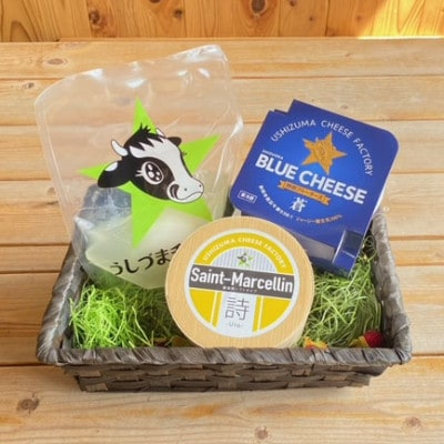 うしづまチーズ工場　ナチュラルチーズ3種セット【配送不可地域：離島・北海道・沖縄県・四国・九州】