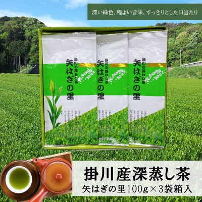 新茶 「矢はぎの里」100g×3本箱入り 掛川市産深蒸し茶 旨いっ!茶農家直送こだわりの味【配送不可地域：離島・沖縄県】