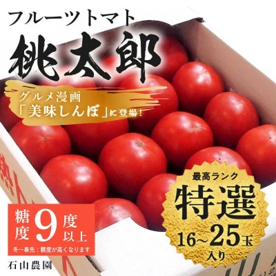 【特選】トマト 美味しんぼに登場したトマト「桃太郎」16～25玉 ランク:特選　糖度9度以上【配送不可地域：離島・沖縄県】