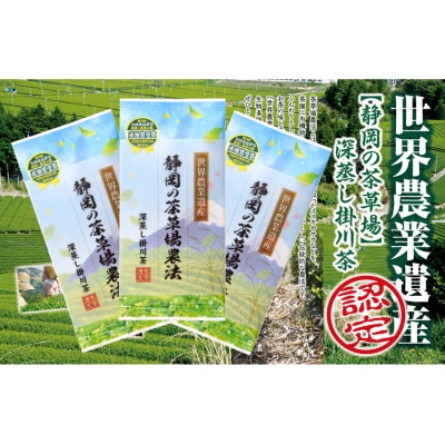 世界農業遺産 茶草場農法 深蒸し掛川茶 100g×3袋 静岡県掛川産 煎茶 一番茶【配送不可地域：離島・沖縄県】