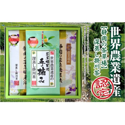 世界農業遺産 静岡の茶草場農法 深蒸し掛川茶(手摘み60g×1袋・掛川茶100g×2袋)ギフトセット【配送不可地域：離島・沖縄県】