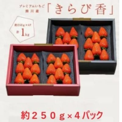【先行受付】いちご【きらぴ香】1箱 (1箱4パック入り 約250g×4)【配送不可地域：離島・北海道・沖縄県・四国・九州】