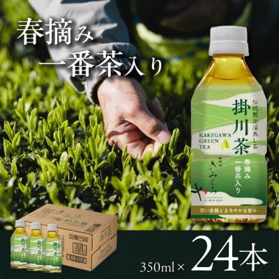 掛川茶 ペットボトル350ml×24本～伝統製法深蒸し茶～日本茶きみくら【39528】【配送不可地域：離島・沖縄県】