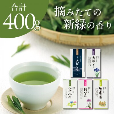 旬の香りを飲み比べ 5種の新茶 満喫セット 合計400g　2026年5月より順次発送【39537】【配送不可地域：離島・沖縄県】
