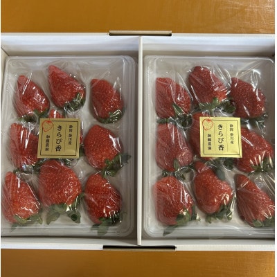 【先行受付】いちご【きらぴ香】1箱 (1箱2パック入り 約450g×2)【配送不可地域：離島・北海道・沖縄県・四国・九州】