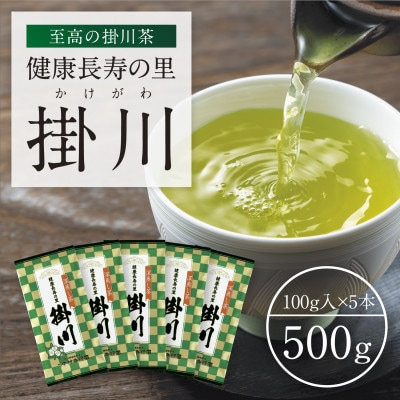 特上深蒸し掛川茶「健康長寿の里 掛川」100g×5本セット【配送不可地域：離島・沖縄県】