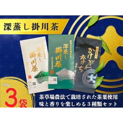 深蒸し掛川茶三昧セット　100g×3袋(ギフト箱入)【配送不可地域：離島・沖縄県】
