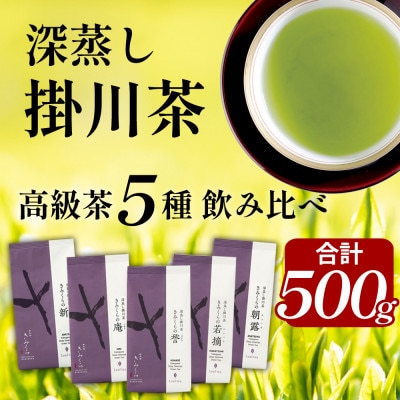 高級茶5種 飲み比べセット 計500g  深蒸し掛川茶 日本茶きみくら【5899】【配送不可地域：離島・沖縄県】