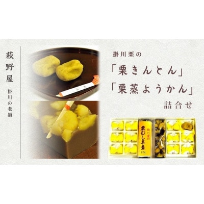 萩野屋 掛川栗の 栗きんとん×12個 栗蒸し羊羹×2本 詰め合わせ【配送不可地域：離島・北海道・沖縄県・四国・九州】