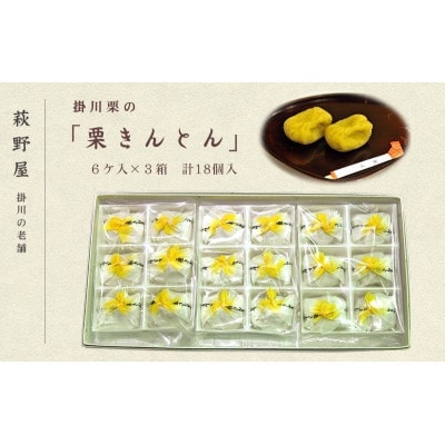 萩野屋 掛川栗の 栗きんとん 6個×3箱 計18個入【配送不可地域：離島・北海道・沖縄県・四国・九州】
