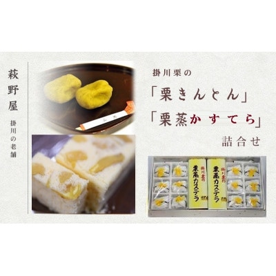 萩野屋 掛川栗の 栗きんとん 6個×2包・ 栗蒸しカステラ × 2本詰合せ【配送不可地域：離島・北海道・沖縄県・四国・九州】