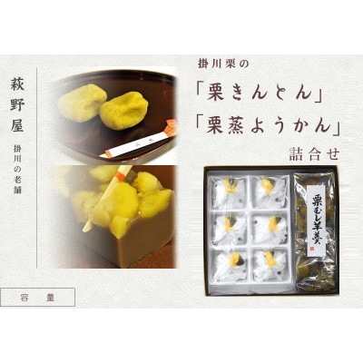 萩野屋 掛川栗の 栗きんとん×6個 栗蒸し羊羹×1本 詰め合わせ【配送不可地域：離島・北海道・沖縄県・四国・九州】