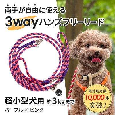 【犬用リード】3WAYハンズフリーリード(超小型犬用)パープル×ピンク【ゴールデンママ】【配送不可地域：離島・沖縄県】