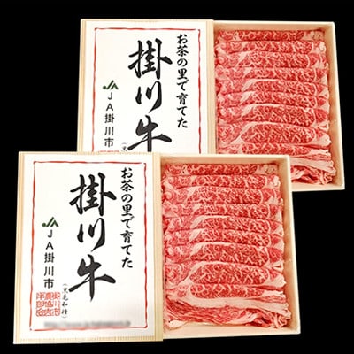 掛川牛(黒毛和種)しゃぶしゃぶ用 500g×2(冷凍)【配送不可地域：離島・北海道・沖縄県・四国・九州】