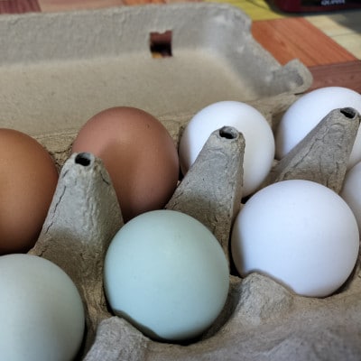 みんなのたまご　赤玉、白玉、青玉、三色の卵の詰め合わせ【配送不可地域：離島・沖縄県】