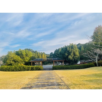 お墓参り代行(拭き掃除、墓花一組)【市外居住者のみ・富士見台霊園限定】【配送不可地域：離島・沖縄県】