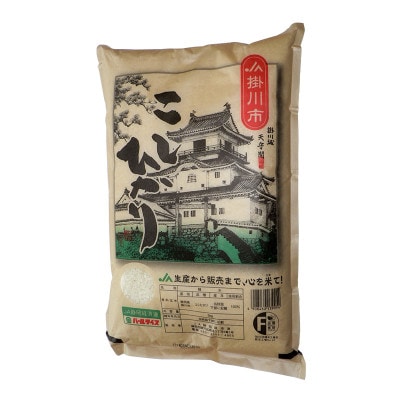 掛川産こしひかり 精米 5kg【配送不可地域：離島・沖縄県】