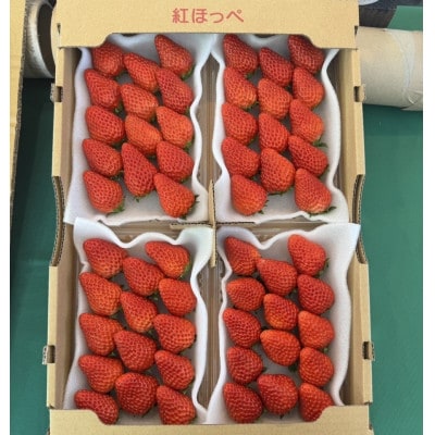 紅ほっぺ280g×4パック　おいしい完熟いちご【配送不可地域：離島・北海道・沖縄県・四国・九州】