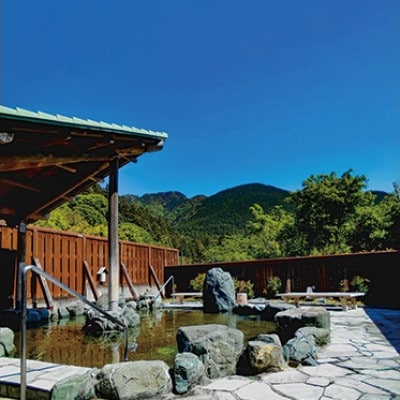 天然温泉「ならここの湯」入湯券 11枚【配送不可地域：離島・沖縄県】