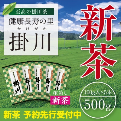 【新茶予約・令和8年度産】特上掛川茶「健康長寿の里 掛川」100g×5本セット　5月上旬頃～発送【配送不可地域：離島・沖縄県】