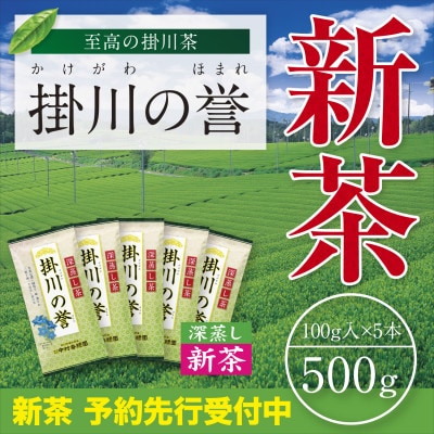 【新茶予約・令和8年度産】高級深蒸し掛川茶「掛川の誉」100g×5本セット　5月上旬頃～発送【配送不可地域：離島・沖縄県】
