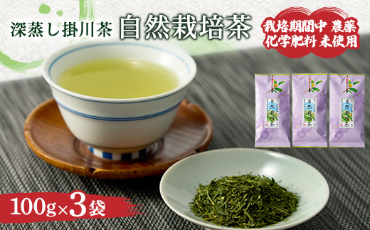 自然栽培茶(化学肥料・農薬未使用)深蒸し掛川茶100g×3袋【配送不可地域：離島・沖縄県】