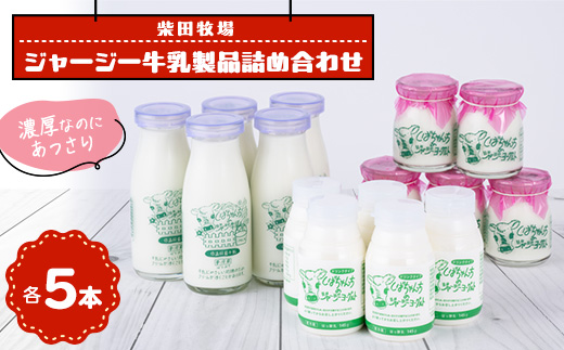 乳製品詰め合わせ(牛乳5本、飲むヨーグルト5本、ヨーグルト5個)　柴田牧場【配送不可地域：離島・北海道・沖縄県・東北・中国・四国・九州】