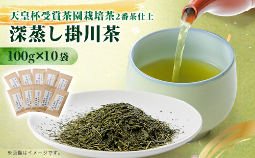 天皇杯受賞茶園栽培茶2番茶仕上　深蒸し掛川茶100g×10袋【配送不可地域：離島・沖縄県】