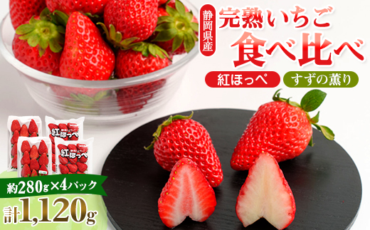 静岡県掛川市産　ミズノ農園の完熟いちご「紅ほっぺ」「すずの薫り」2種各2パック食べ比べセット【配送不可地域：離島・北海道・沖縄県・東北・中国・四国・九州】