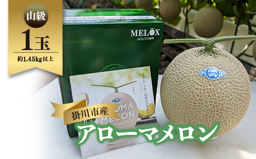 静岡暗室マスクメロン アローマ印　　　　　山級約1.45kg以上　1玉【配送不可地域：離島・北海道・沖縄県】