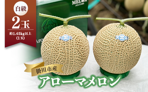 静岡暗室マスクメロン アローマ印　　　　　白級約1.45kg以上　2玉【配送不可地域：離島・北海道・沖縄県】