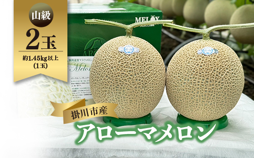 静岡暗室マスクメロン アローマ印　　　　　山級約1.45kg以上　2玉【配送不可地域：離島・北海道・沖縄県】