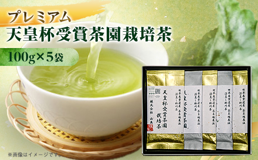 天皇杯受賞茶園栽培のプレミアム茶100g×5袋【配送不可地域：離島・沖縄県】