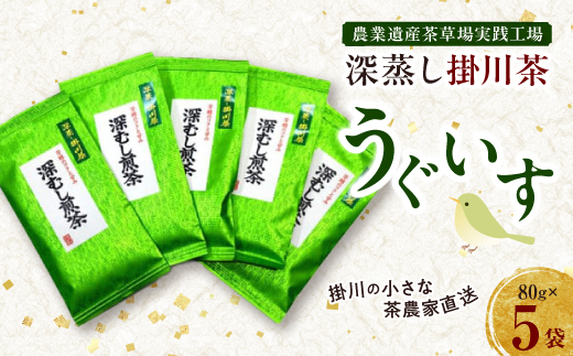 掛川の小さな茶農家直送　農業遺産茶草場実践工場　 深蒸し掛川茶『うぐいす』80g×5袋【配送不可地域：離島・沖縄県】
